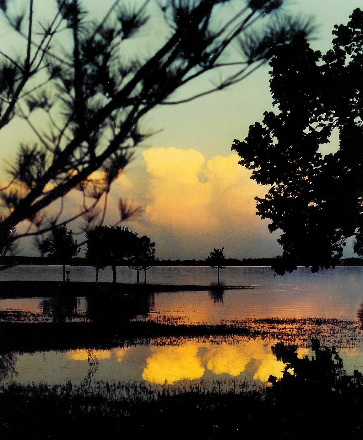 Old Bullfrog Haven