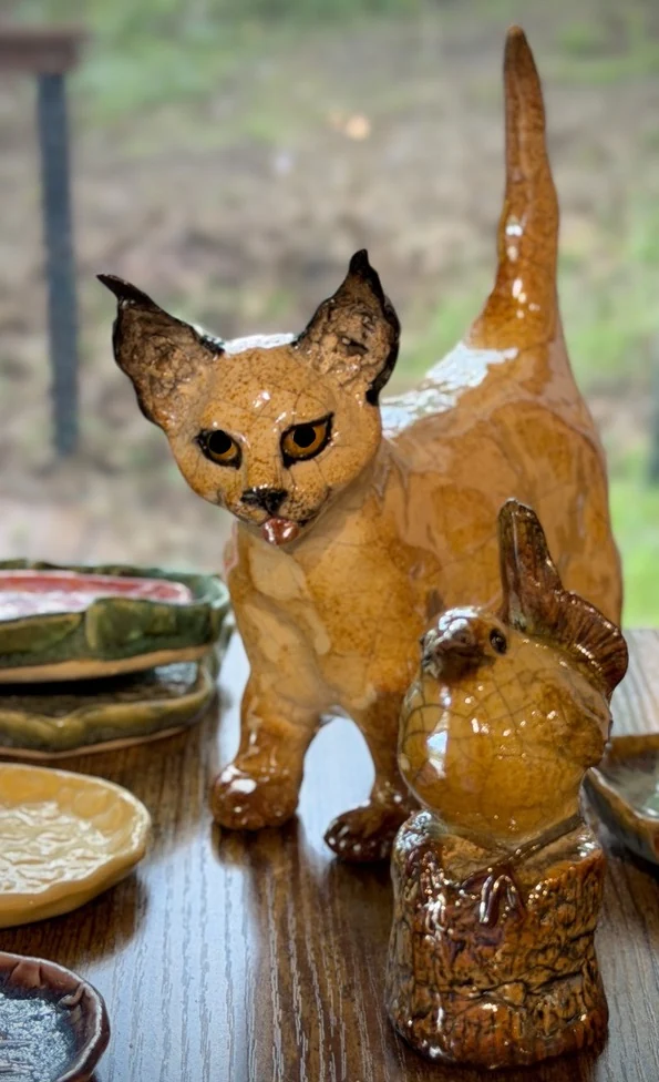 Cheeky Caracal - Gallery
