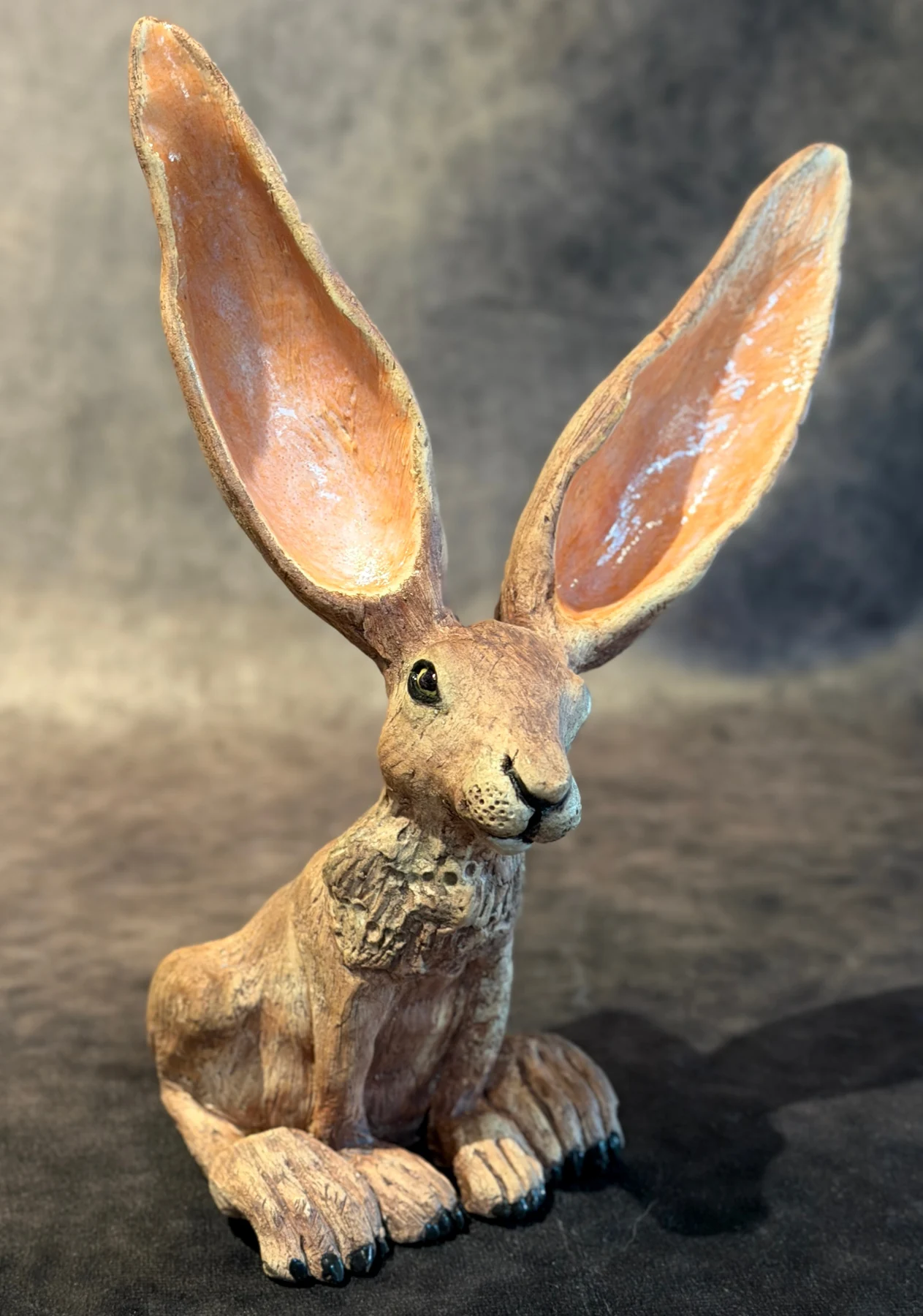 Jackrabbit Charmer