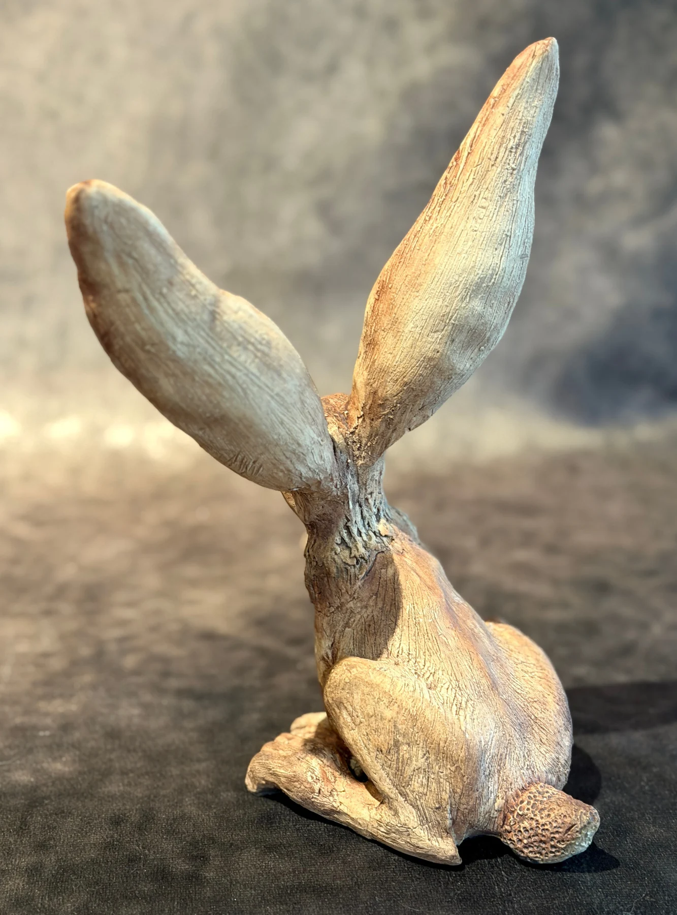 Jackrabbit Charmer - Left Rear Angle