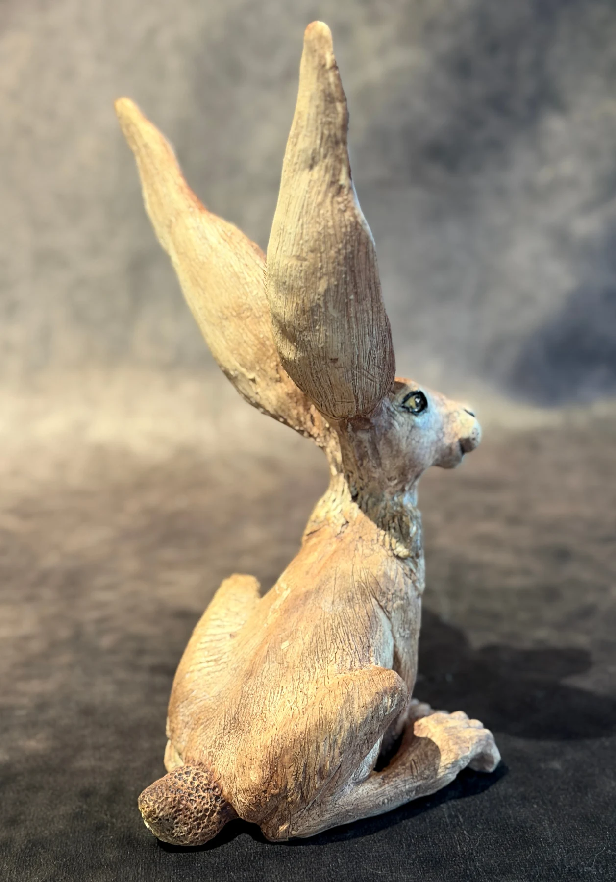 Jackrabbit Charmer - Rear Angle