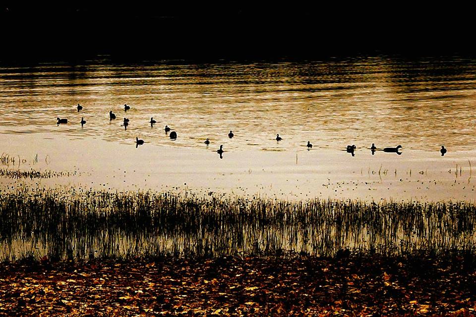 The Fluidity of Reason