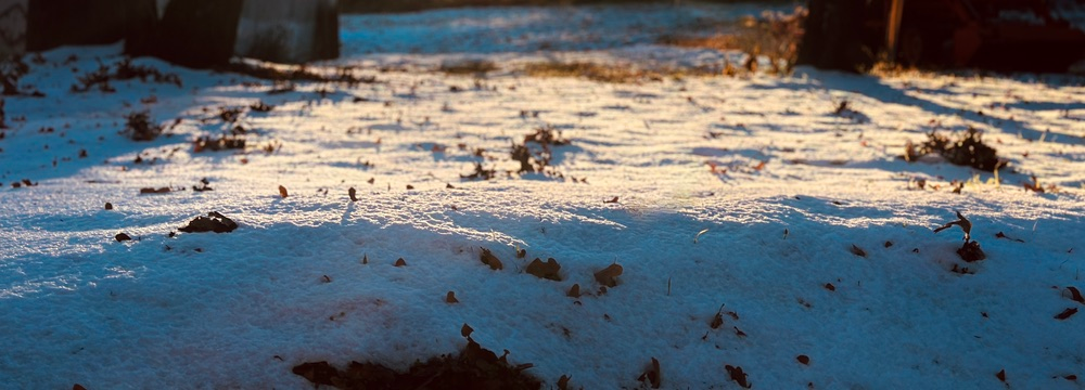 Long Ice