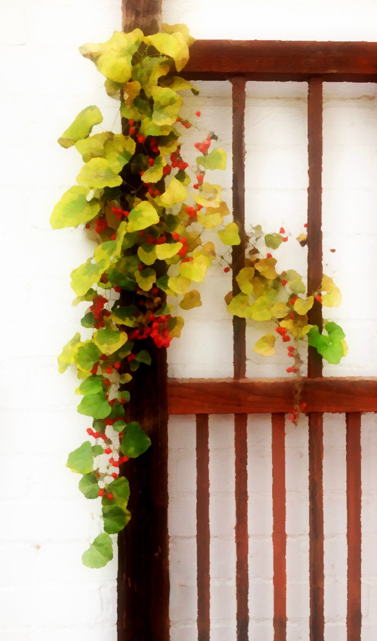 Harvest Trellis