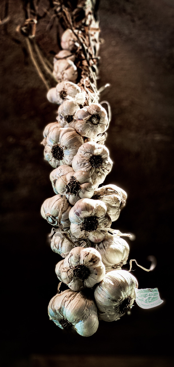 Stormie's Garlics