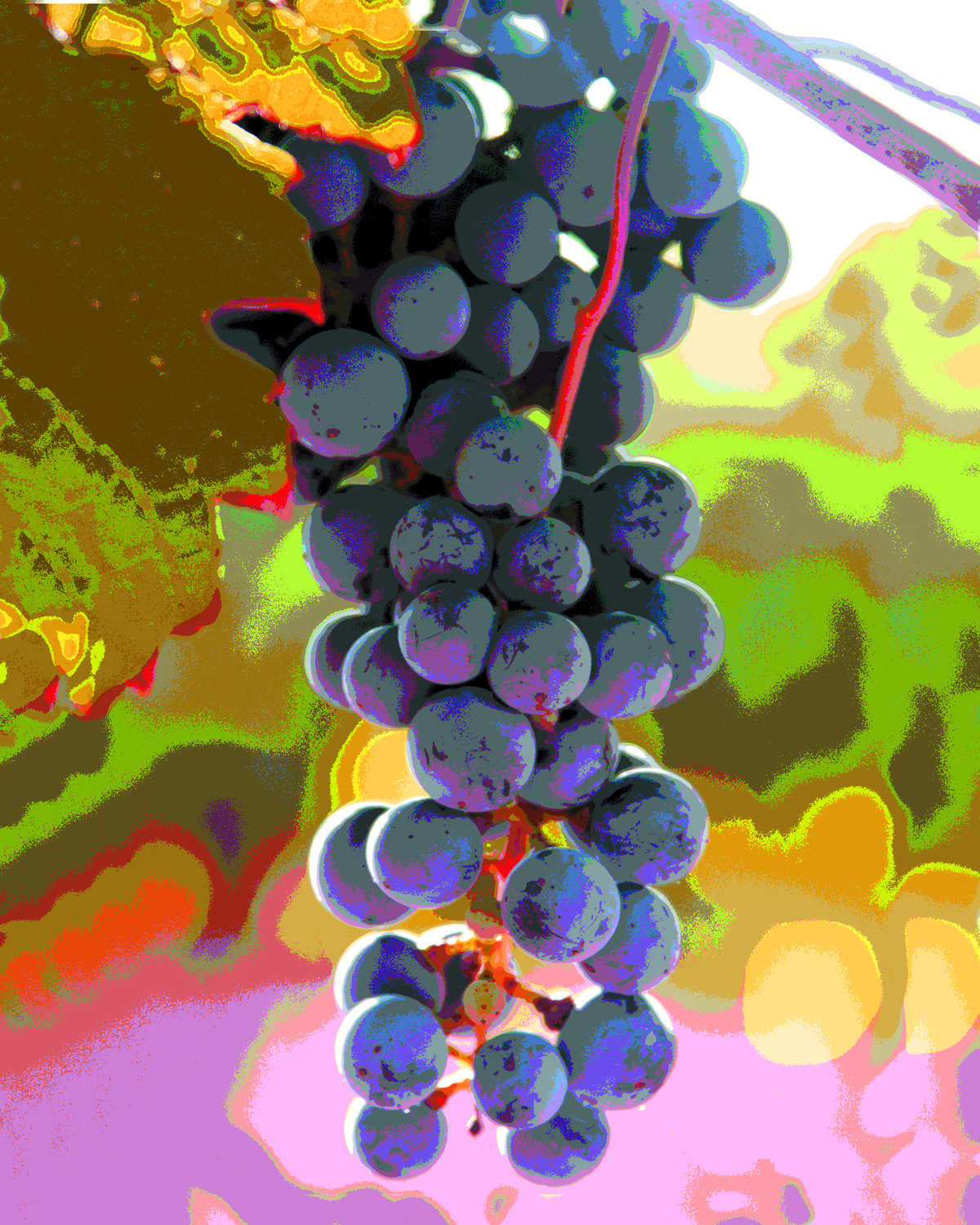 Chateau Promise