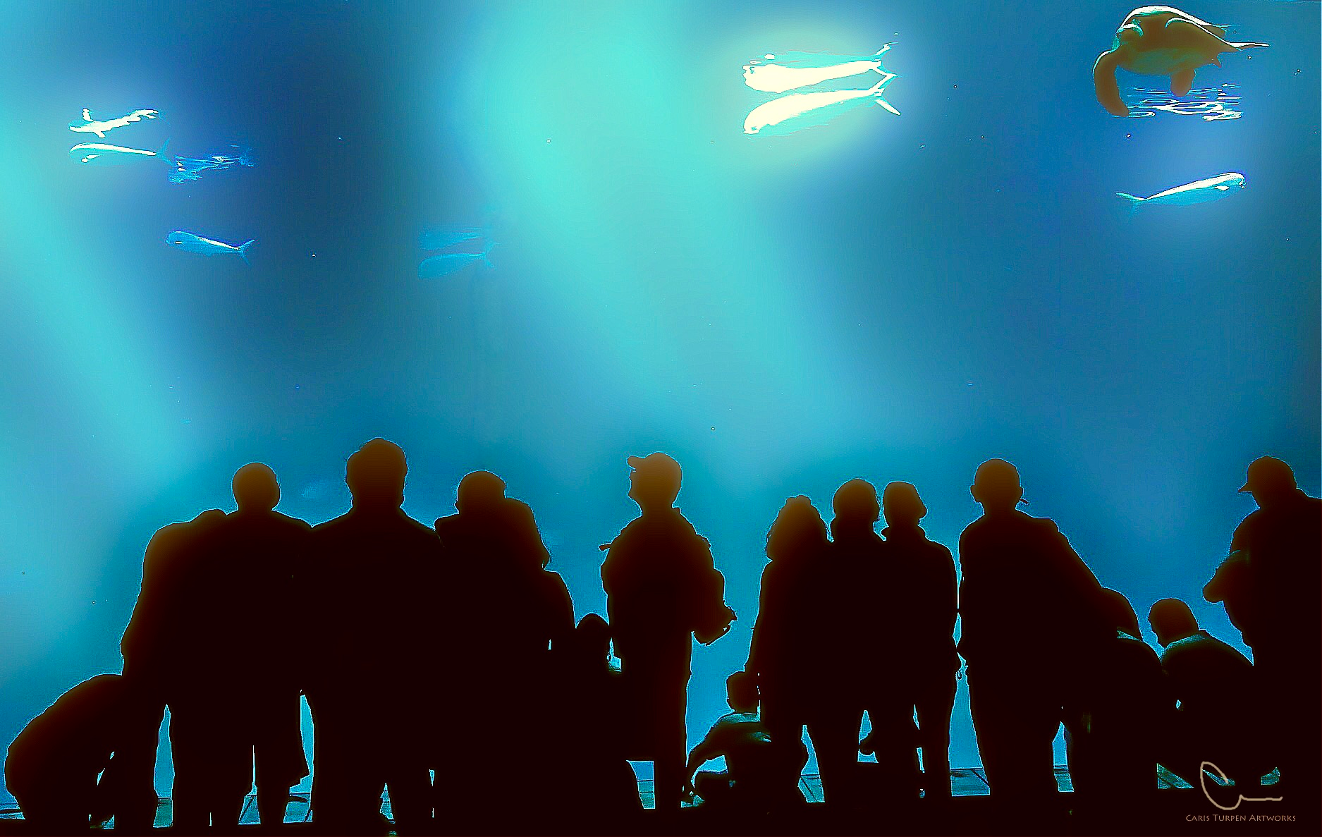 Aquarium