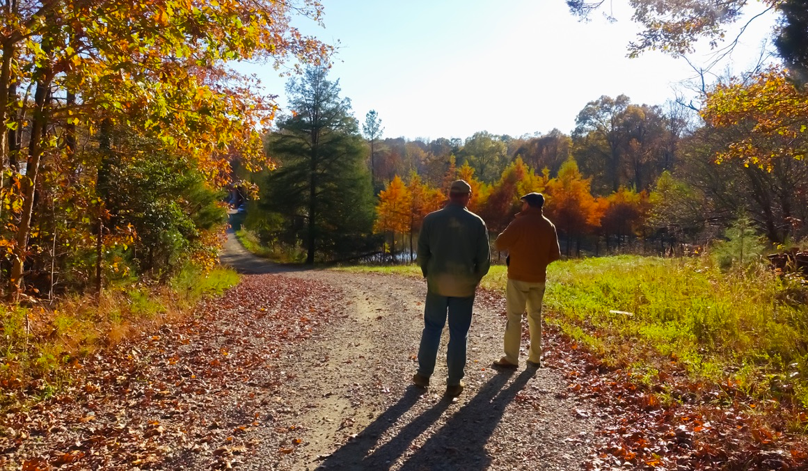 On the Trail