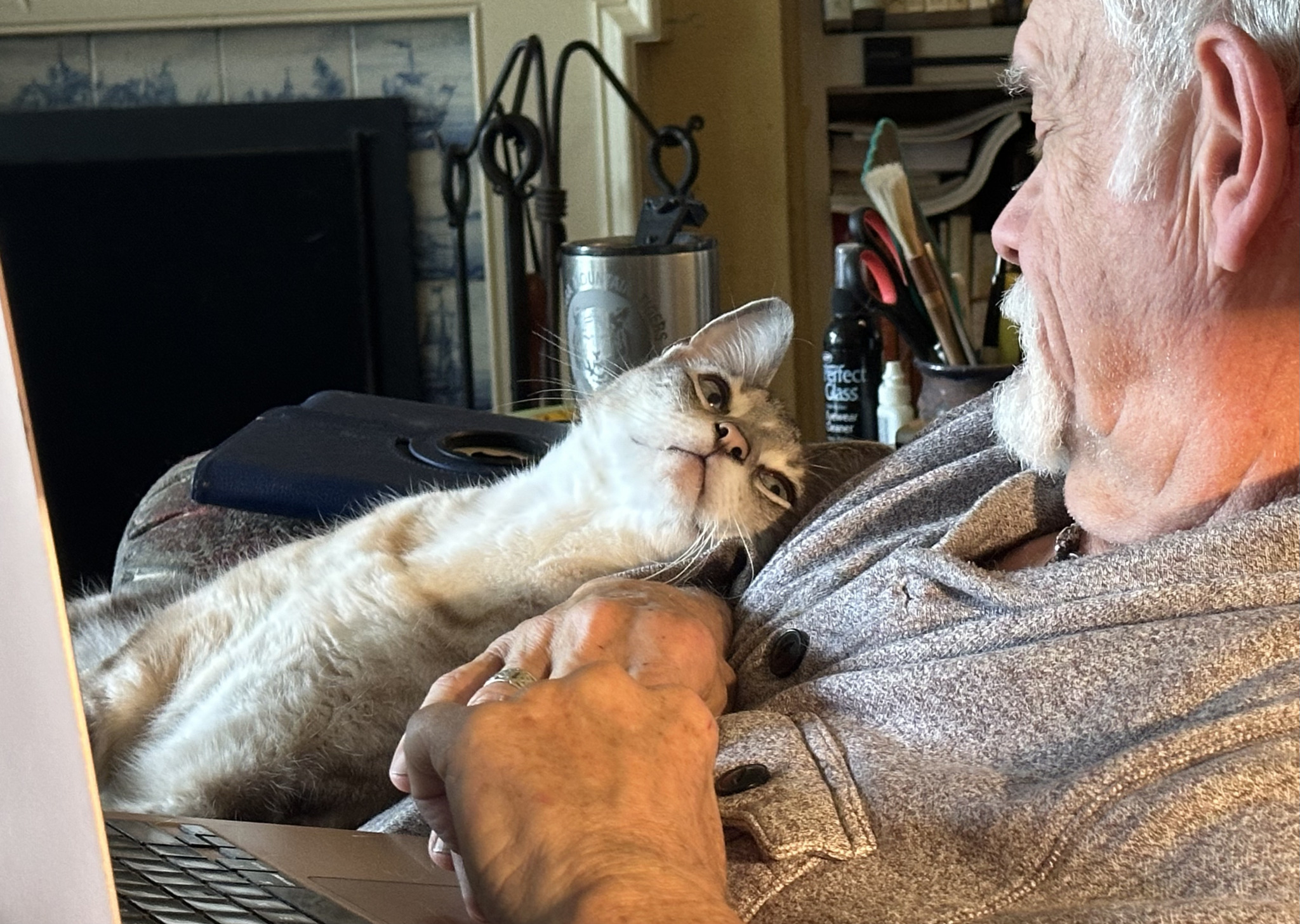 A Quiet Afternoon