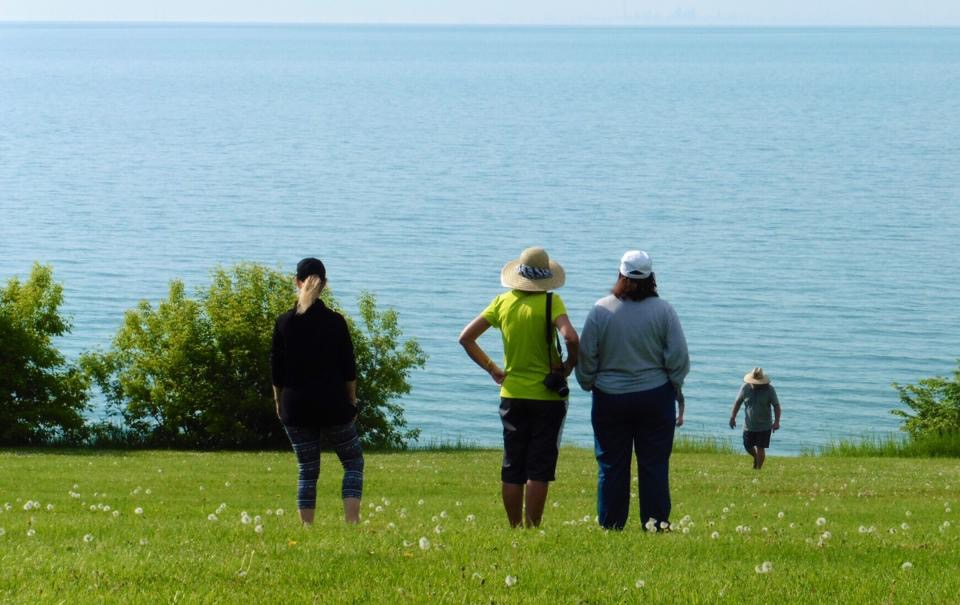 Along the Shore